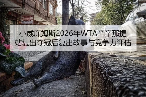 xiao-wei-lian-mu-si-nian-xin-xin-na-ti-zhan-fu-chu-duo-guan-hou-fu-chu-gu-shi-yu-jing-zheng-li-ping-gu-2-693.jpg