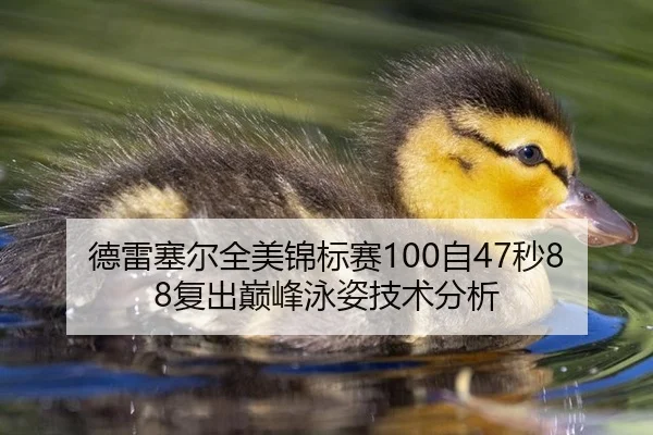 德雷塞尔全美锦标赛100自47秒88复出巅峰泳姿技术分析